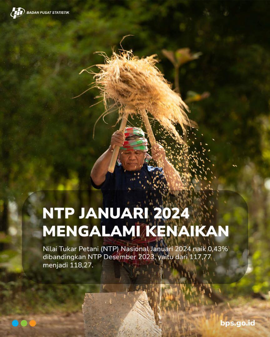 Nilai Tukar Petani Januari 2024 Mengalami Kenaikan